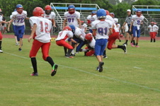 Enlarge photo 290