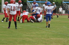Enlarge photo 293