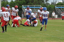 Enlarge photo 296