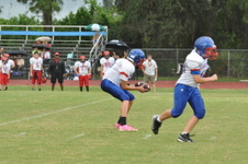 Enlarge photo 302