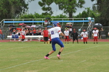 Enlarge photo 308