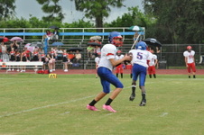 Enlarge photo 313