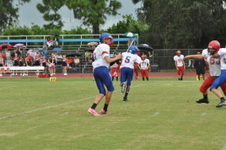 Enlarge photo 315