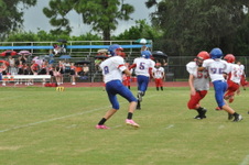 Enlarge photo 316