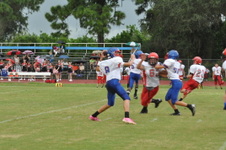 Enlarge photo 317