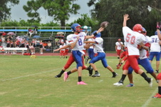 Enlarge photo 318