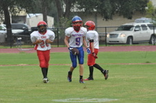 Enlarge photo 321