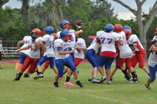 Enlarge photo 324