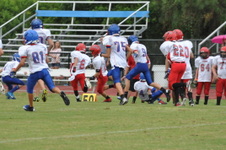 Enlarge photo 335