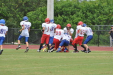 Enlarge photo 336