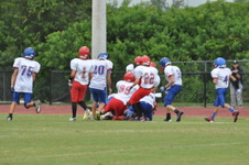 Enlarge photo 334