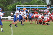 Enlarge photo 337