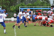 Enlarge photo 338