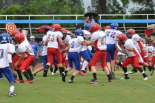 Enlarge photo 340