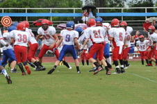 Enlarge photo 341