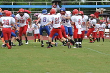 Enlarge photo 342