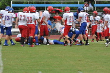 Enlarge photo 344