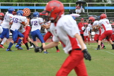Enlarge photo 346