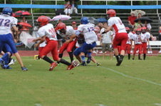 Enlarge photo 347