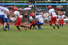 Enlarge photo 348