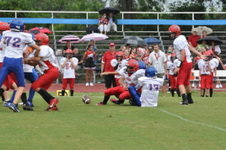 Enlarge photo 349