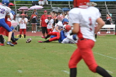 Enlarge photo 350