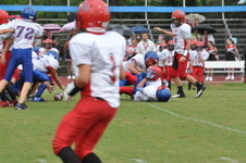 Enlarge photo 355
