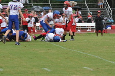 Enlarge photo 351
