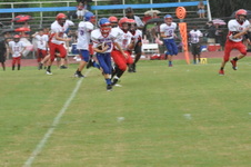 Enlarge photo 363