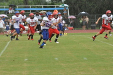 Enlarge photo 367