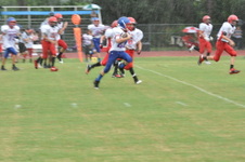 Enlarge photo 364