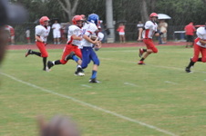 Enlarge photo 366