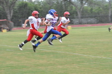Enlarge photo 369