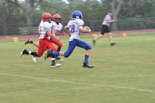 Enlarge photo 368