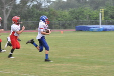 Enlarge photo 370