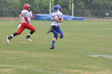 Enlarge photo 372