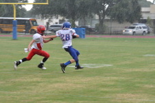 Enlarge photo 374