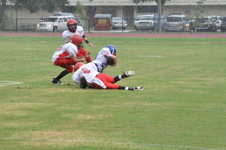 Enlarge photo 379