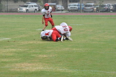 Enlarge photo 380