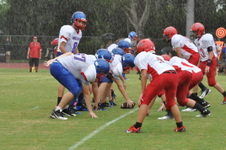 Enlarge photo 381