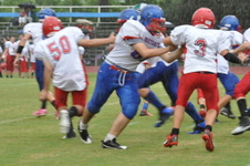 Enlarge photo 382