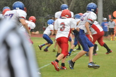 Enlarge photo 383