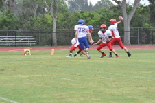Enlarge photo 387