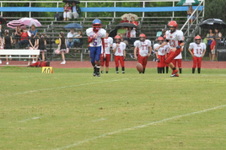 Enlarge photo 390