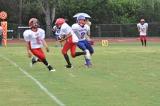 Enlarge photo 397