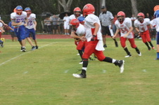 Enlarge photo 399