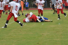 Enlarge photo 398