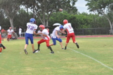 Enlarge photo 407