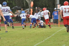 Enlarge photo 411