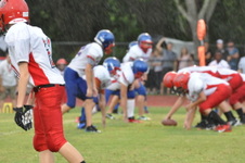 Enlarge photo 413
